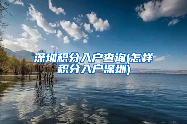 深圳积分入户查询(怎样积分入户深圳)