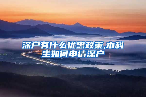 深户有什么优惠政策,本科生如何申请深户