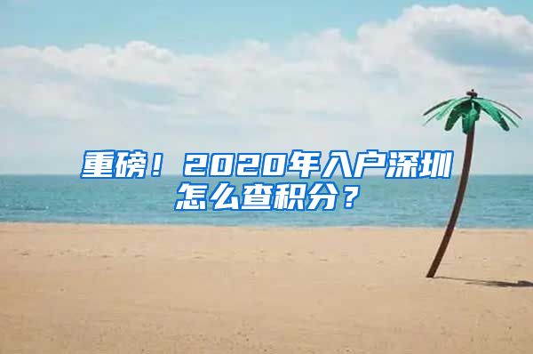 重磅！2020年入户深圳怎么查积分？