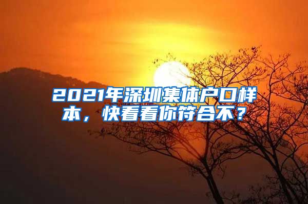 2021年深圳集体户口样本，快看看你符合不？