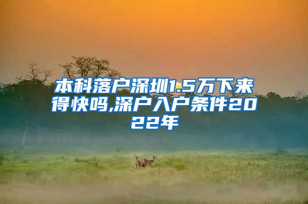 本科落户深圳1.5万下来得快吗,深户入户条件2022年