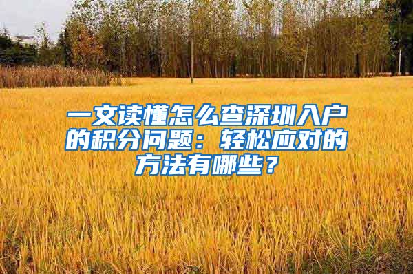 一文读懂怎么查深圳入户的积分问题：轻松应对的方法有哪些？