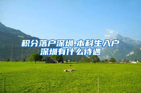 积分落户深圳,本科生入户深圳有什么待遇