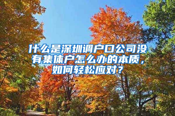 什么是深圳调户口公司没有集体户怎么办的本质，如何轻松应对？