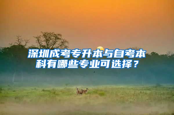 深圳成考专升本与自考本科有哪些专业可选择？