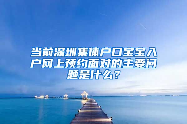 当前深圳集体户口宝宝入户网上预约面对的主要问题是什么？