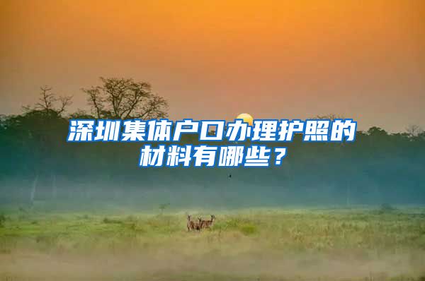 深圳集体户口办理护照的材料有哪些？