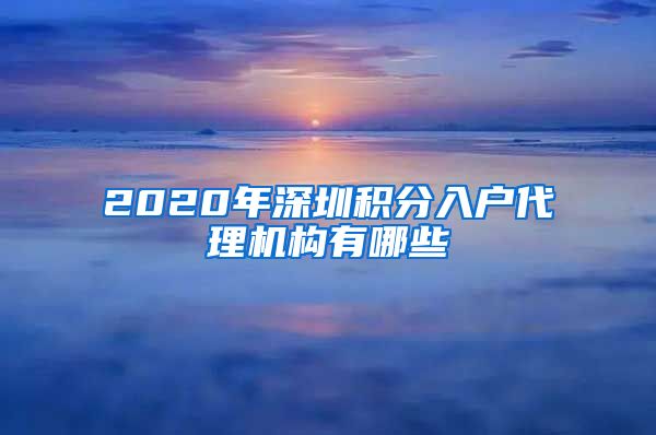 2020年深圳积分入户代理机构有哪些