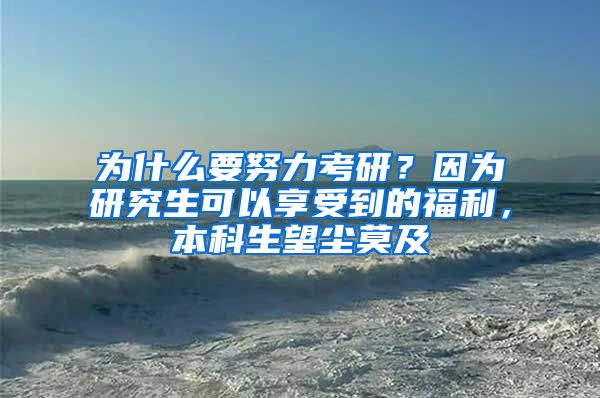 为什么要努力考研？因为研究生可以享受到的福利，本科生望尘莫及