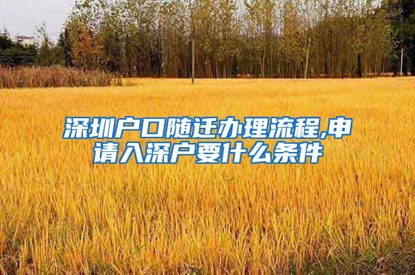 深圳户口随迁办理流程,申请入深户要什么条件