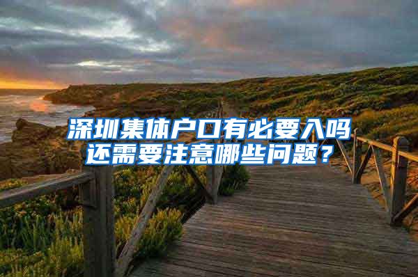 深圳集体户口有必要入吗还需要注意哪些问题？