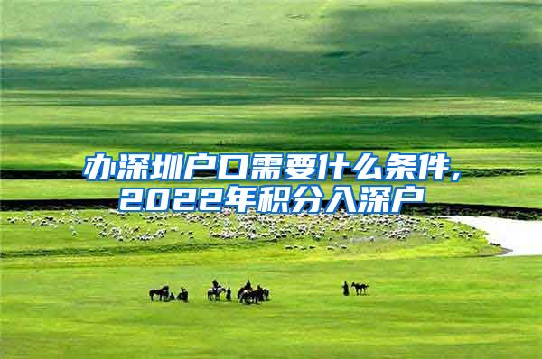 办深圳户口需要什么条件,2022年积分入深户