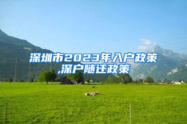 深圳市2023年入户政策,深户随迁政策