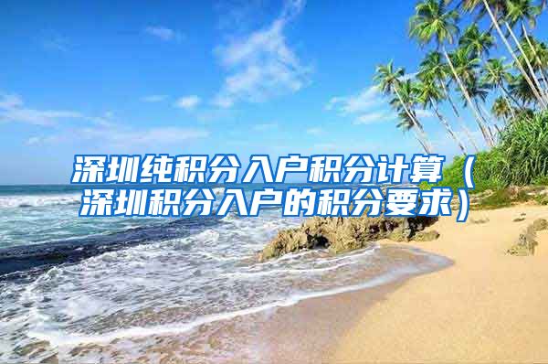 深圳纯积分入户积分计算（深圳积分入户的积分要求）