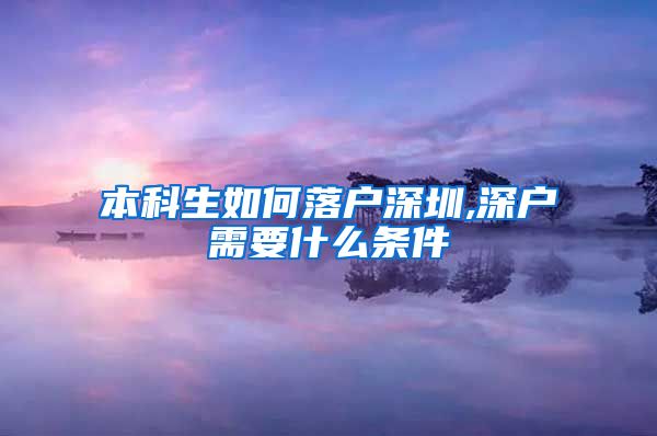 本科生如何落户深圳,深户需要什么条件