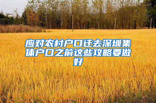 应对农村户口迁去深圳集体户口之前这些攻略要做好