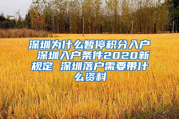 深圳为什么暂停积分入户 深圳入户条件2020新规定 深圳落户需要带什么资料