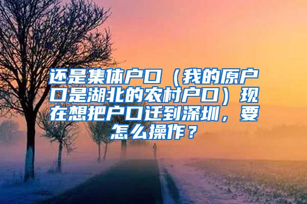 还是集体户口（我的原户口是湖北的农村户口）现在想把户口迁到深圳，要怎么操作？