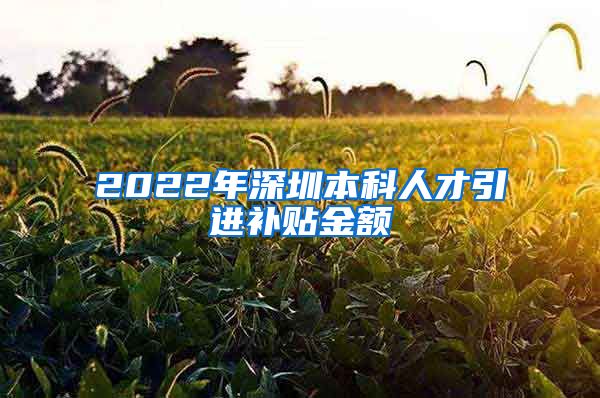 2022年深圳本科人才引进补贴金额