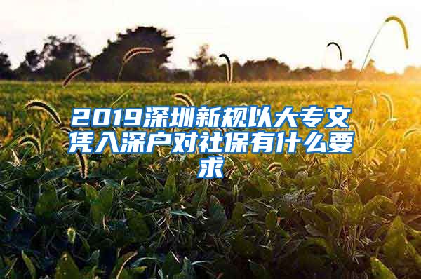 2019深圳新规以大专文凭入深户对社保有什么要求