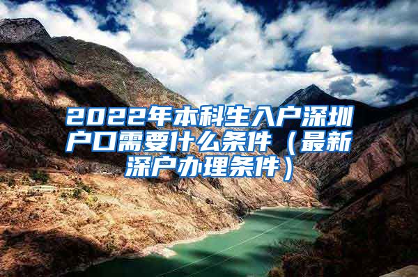 2022年本科生入户深圳户口需要什么条件（最新深户办理条件）