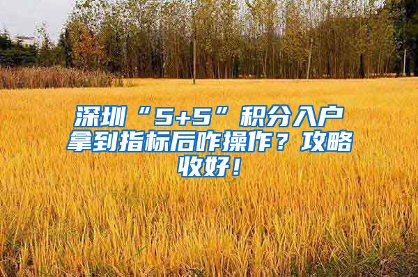 深圳“5+5”积分入户拿到指标后咋操作？攻略收好！