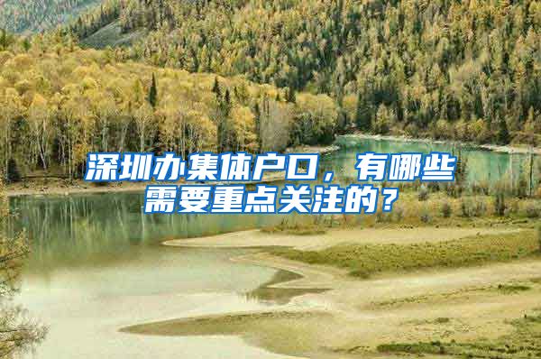 深圳办集体户口，有哪些需要重点关注的？