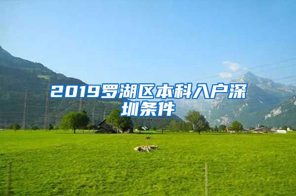 2019罗湖区本科入户深圳条件