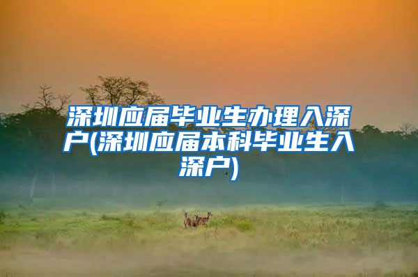 深圳应届毕业生办理入深户(深圳应届本科毕业生入深户)