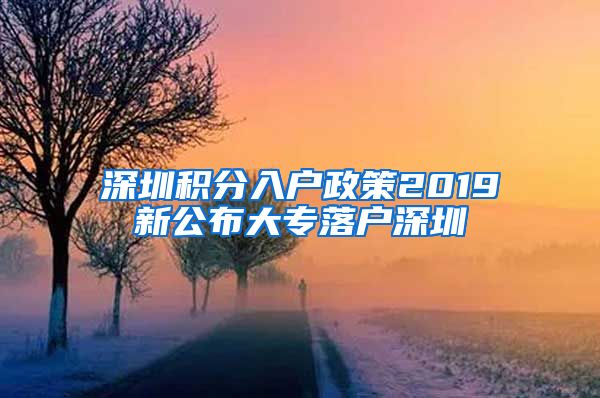 深圳积分入户政策2019新公布大专落户深圳