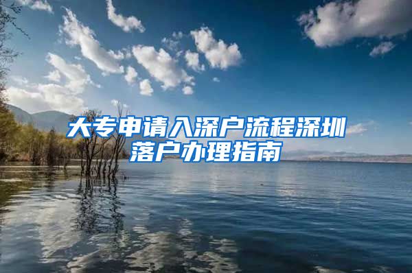 大专申请入深户流程深圳落户办理指南