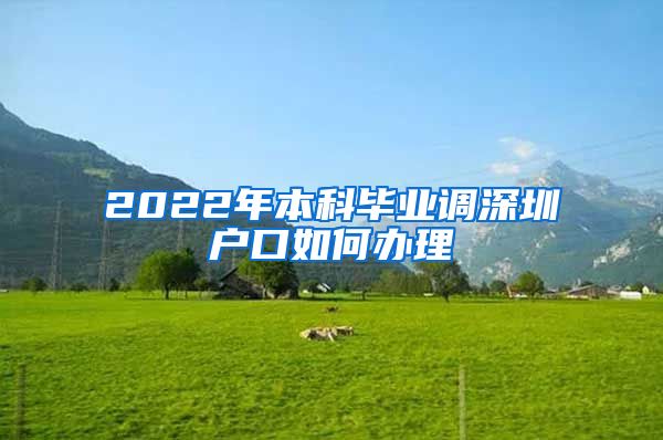 2022年本科毕业调深圳户口如何办理