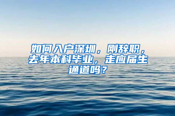 如何入户深圳，刚辞职，去年本科毕业，走应届生通道吗？