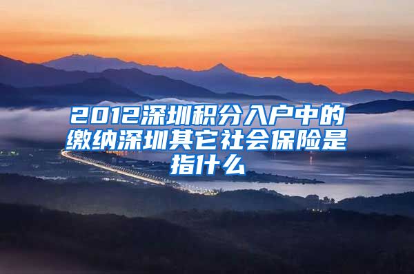 2012深圳积分入户中的缴纳深圳其它社会保险是指什么