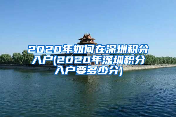 2020年如何在深圳积分入户(2020年深圳积分入户要多少分)