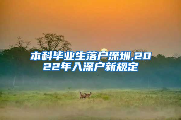 本科毕业生落户深圳,2022年入深户新规定