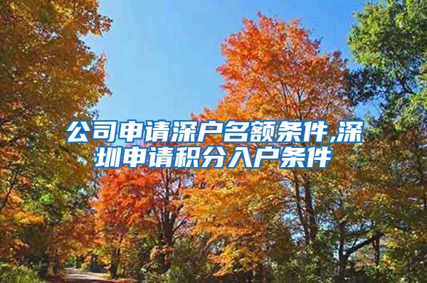 公司申请深户名额条件,深圳申请积分入户条件