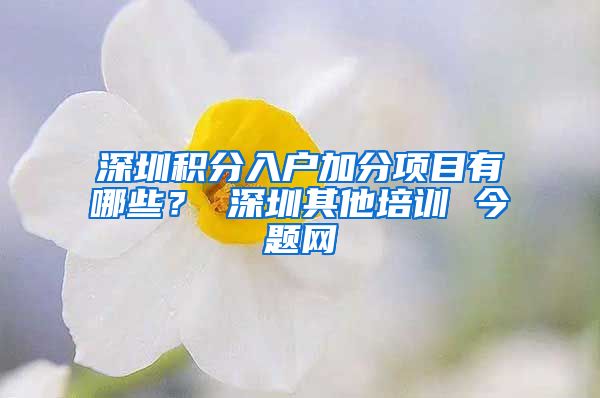 深圳积分入户加分项目有哪些？ 深圳其他培训 今题网