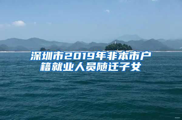 深圳市2019年非本市户籍就业人员随迁子女