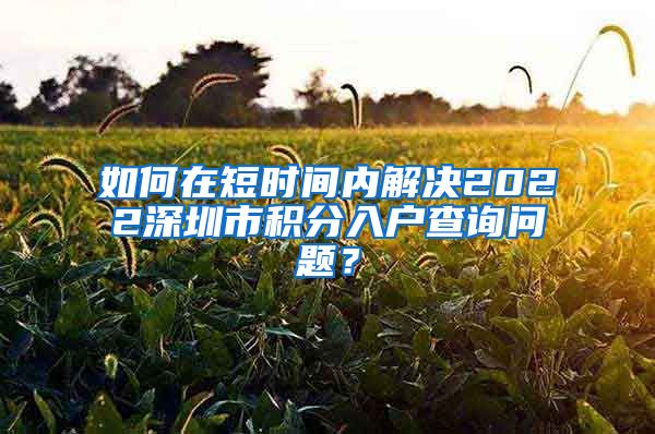 如何在短时间内解决2022深圳市积分入户查询问题？