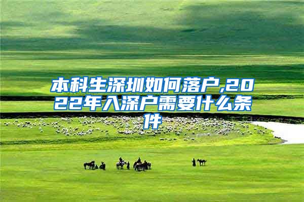 本科生深圳如何落户,2022年入深户需要什么条件