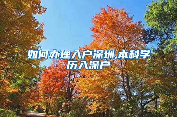 如何办理入户深圳,本科学历入深户