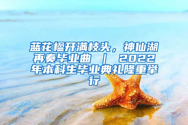 蓝花楹开满枝头，神仙湖再奏毕业曲 ｜ 2022年本科生毕业典礼隆重举行