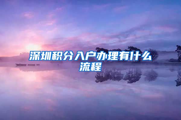 深圳积分入户办理有什么流程