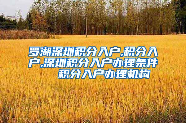 罗湖深圳积分入户,积分入户,深圳积分入户办理条件   积分入户办理机构