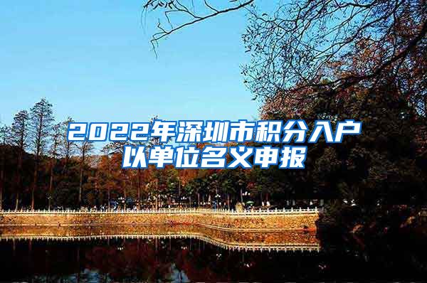 2022年深圳市积分入户以单位名义申报