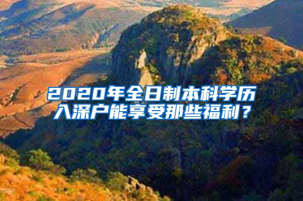 2020年全日制本科学历入深户能享受那些福利？