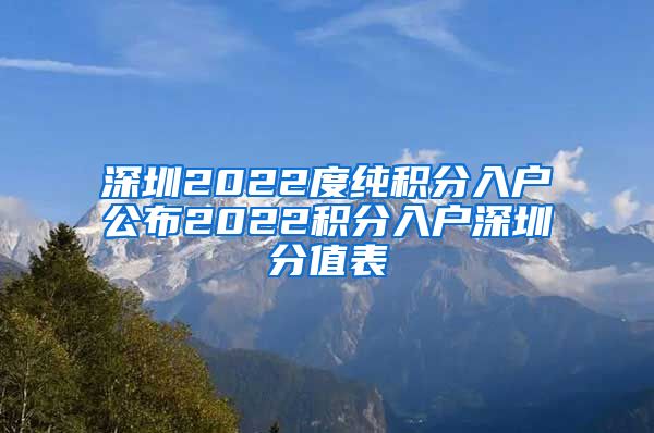 深圳2022度纯积分入户公布2022积分入户深圳分值表