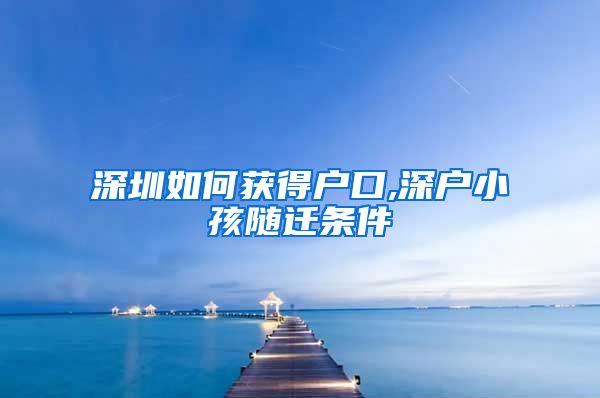 深圳如何获得户口,深户小孩随迁条件