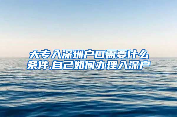 大专入深圳户口需要什么条件,自己如何办理入深户